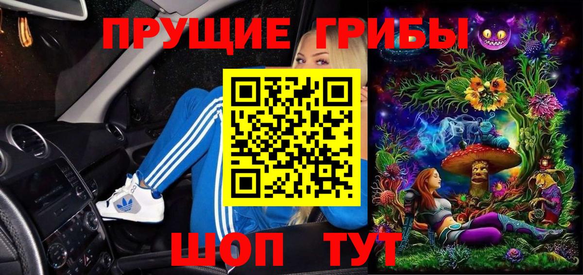 Ижевск  Галлюциногенные грибы прущие грибы  Вход с VPN 