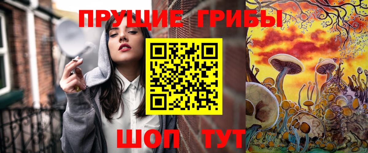 Галлюциногенные грибы Psilocybe Ижевск